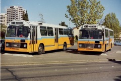 Buses 365 and 370 - Wentworth Ave (Kingston Depot) (P Michael Photo)