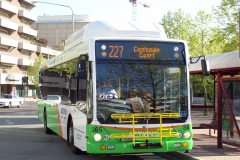 Bus-365-City-West