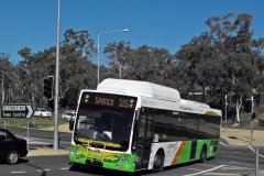 Bus-365-Haydon-Drive