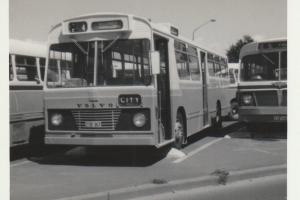 BUS 367-1