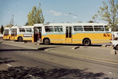 Bus 367 - Wentworth Ave (P Michael Photo)
