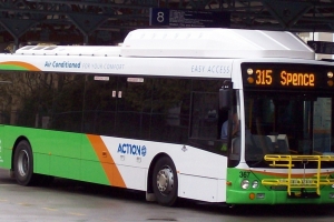 BUS 367-2