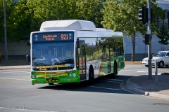 Bus-367-Callam-Street