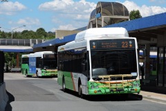 Bus-367-Woden-Bus-Station-with-Bus-445-