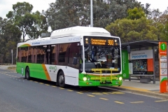 Bus-368-Cameron-Avenue