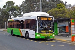 Bus-368-Cameron-Avenue