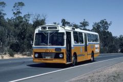 Bus369-1