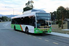 Bus369-Conder-1