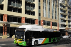 Bus-370-Mort-Street