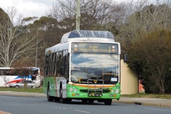 Bus-372-Antill-Street