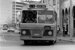 Bus-373-London-Circuit