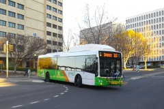 Bus-373-Marcus-Clarke-Street