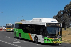 Bus-374-Nettlefold-Street