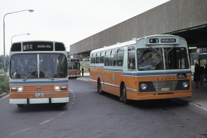 BUS 375-1