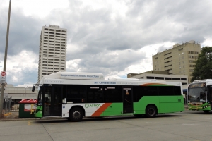 BUS 375-2