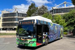 Bus 376-Callam Street
