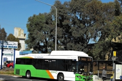 Bus-376-Lathlain-Street