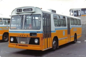 BUS 377-1