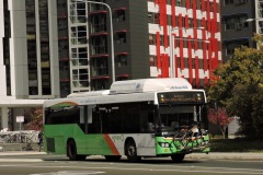 Bus-377-Barry-Drive