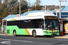 Bus-377-Cohen-Street
