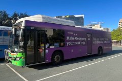 Bus 377-City West