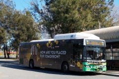 Bus377-Kippax-1