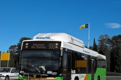 Bus377-Northbourne Avenue