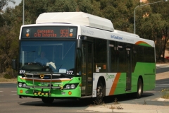 Bus-377-Cameron-Avenue