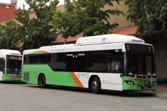 Bus378-Tuggeranong-Bus-Station