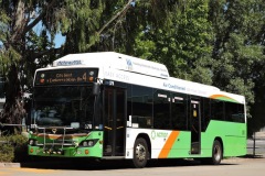 Bus-378-Woden-Bus-Station