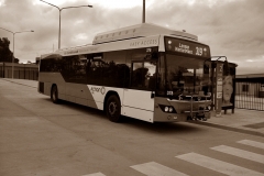 Bus378-csbs-2