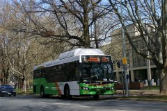 Bus-379-King-Edward-Terrace