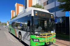 Bus 381 - Cowlishaw St