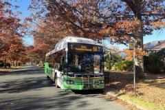 382 Carnegie Crescent