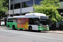 Bus382-CityBs-2