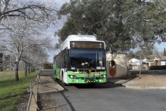 Bus-382-Narrabundah-Terminus