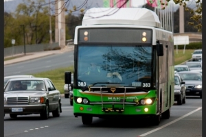 BUS 383-2