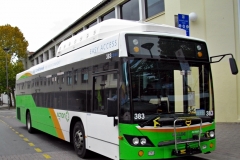 Bus-383-City-Interchange