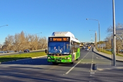 Bus-383-Commonwealth-Avenue-2