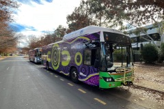 Bus 384 - Morphett St