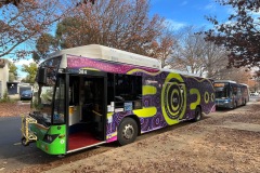 Bus 384 - Morphett St
