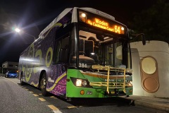 Bus 384 - Perry Dr