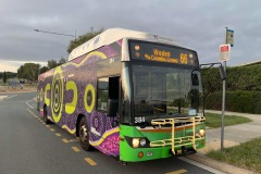 Bus 384 - Steve Irwin Ave