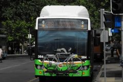 Bus-384-City-Interchange