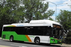 Bus-384-London-Circuit
