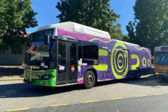 Bus384-Tuggeranong Interchange