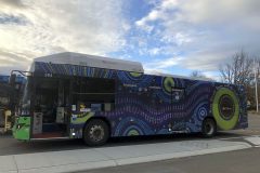 Bus384-TurnerLayover-1