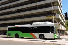 Bus-384-University-Avenue