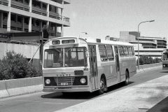 Bus385-BelconnenInter-1