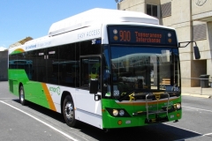 Bus-387-Belconnen-Interchange